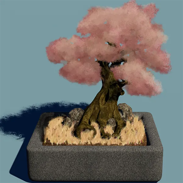 Bonsai Tree